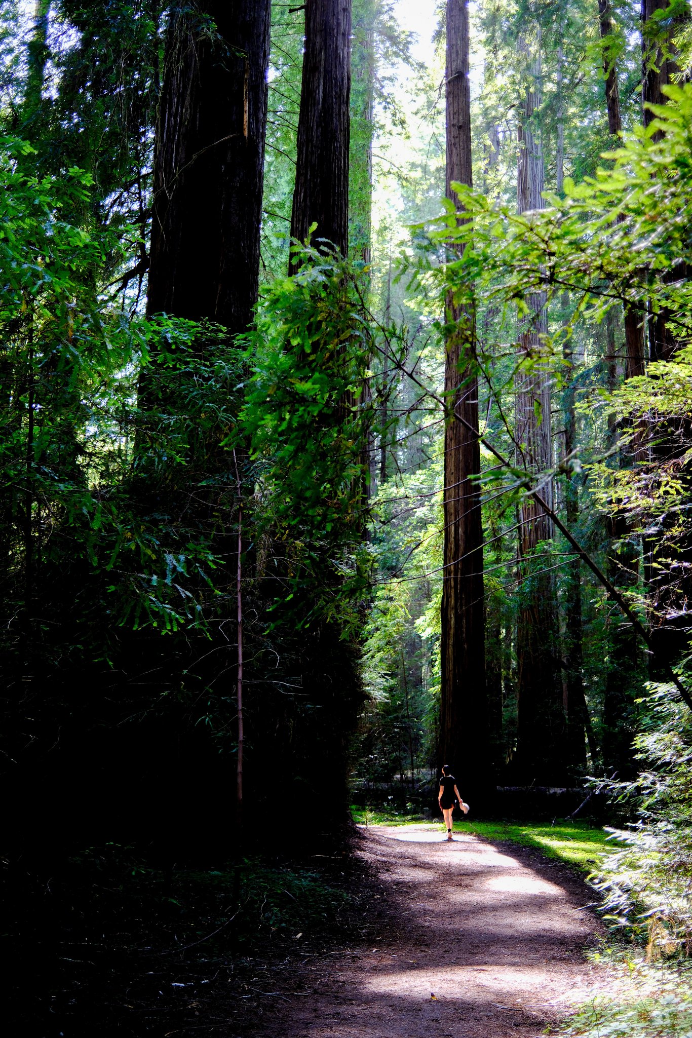 “如果人们在一个地方呆得足够久，那里的生灵也会开始向他们说话”